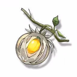 zhezhi-the-ultimate-glacio-artist-my-2026-guide-to-mastering-her-kit-and-materials-image-1